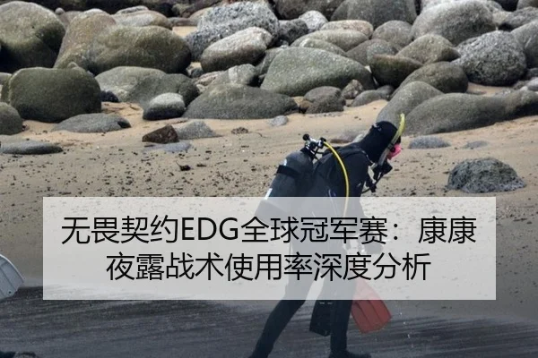 无畏契约EDG全球冠军赛：康康夜露战术使用率深度分析