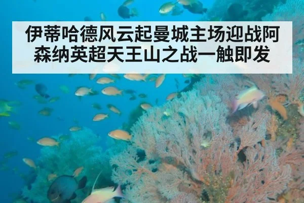 伊蒂哈德风云起曼城主场迎战阿森纳英超天王山之战一触即发